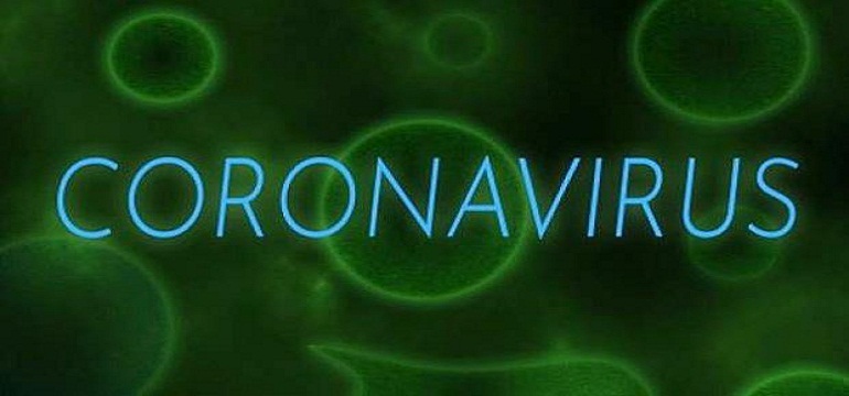Penyebaran Virus Korona di Indonesia dan Penanggulangannya