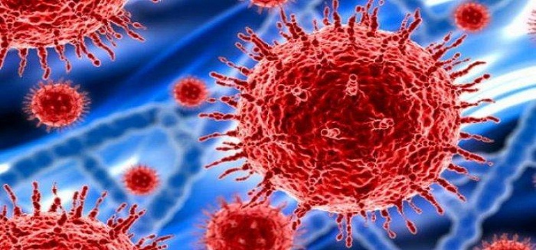 Reaksi terhadap Penyebaran Virus Korona di Indonesia